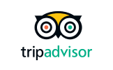 Google-icon